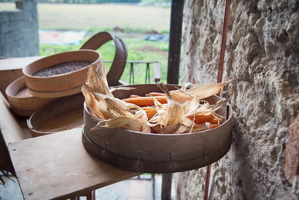 Don Carlo Agriturismo Di Charme Bio Villa Le Pioppe Dış mekan fotoğraf