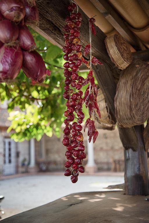 Don Carlo Agriturismo Di Charme Bio Villa Le Pioppe Dış mekan fotoğraf