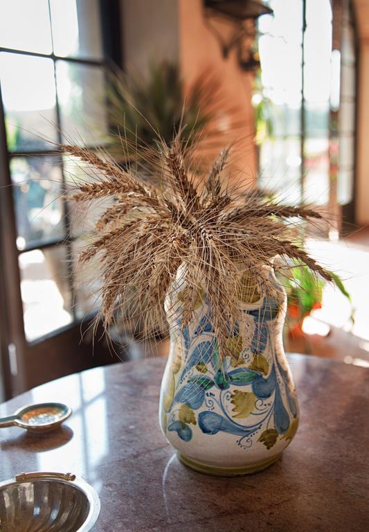 Don Carlo Agriturismo Di Charme Bio Villa Le Pioppe Dış mekan fotoğraf