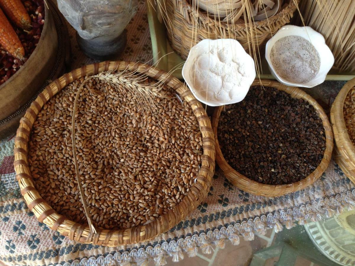 Don Carlo Agriturismo Di Charme Bio Villa Le Pioppe Dış mekan fotoğraf